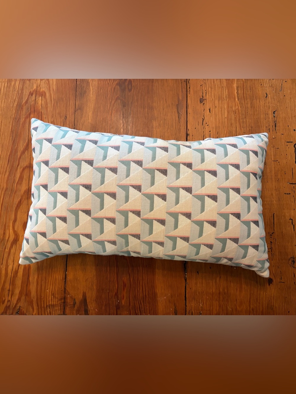 West Elm indoor/outdoor throw pillow